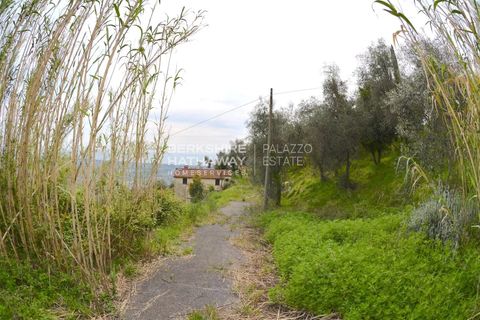 Landejendom i Filadelfia, Vibo Valentia, Filadelfia - € 400.000 | Ref: ITO2805 - foto 8