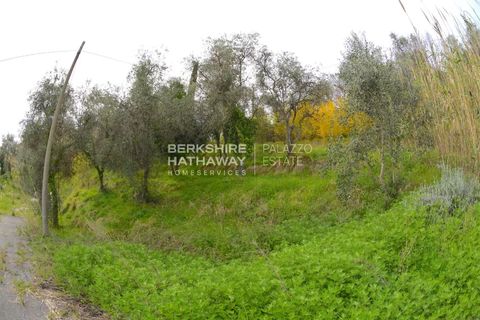 Landejendom i Filadelfia, Vibo Valentia, Filadelfia - € 400.000 | Ref: ITO2805 - foto 9