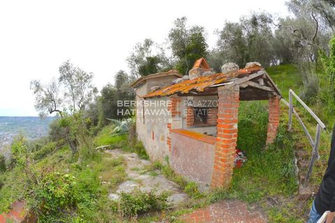 Landejendom i Filadelfia, Vibo Valentia, Filadelfia - € 400.000 | Ref: ITO2805 - foto 10