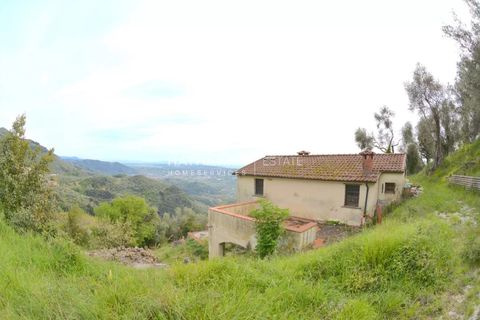 Landejendom i Filadelfia, Vibo Valentia, Filadelfia - € 400.000 | Ref: ITO2805 - foto 11
