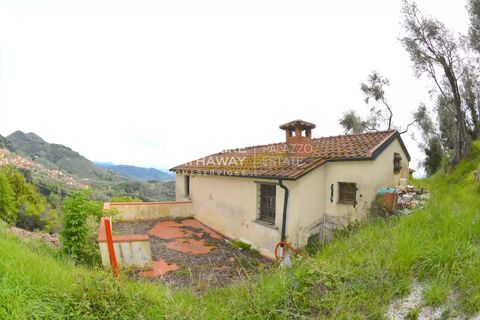 Landejendom i Filadelfia, Vibo Valentia, Filadelfia - € 400.000 | Ref: ITO2805 - foto 12
