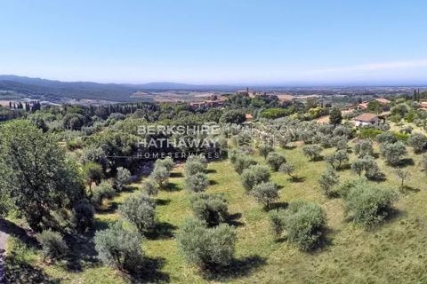 Villa a Guardistallo, Pisa, Guardistallo - € 950.000 | Ref: ITO2470 - foto 2