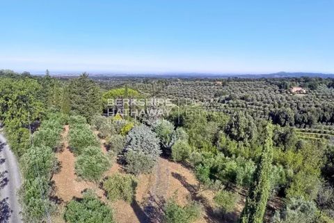 Villa a Guardistallo, Pisa, Guardistallo - € 950.000 | Ref: ITO2470 - foto 4