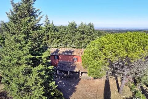 Villa a Guardistallo, Pisa, Guardistallo - € 950.000 | Ref: ITO2470 - foto 9