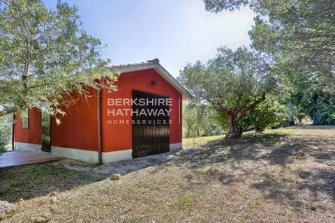 Villa a Guardistallo, Pisa, Guardistallo - € 950.000 | Ref: ITO2470 - foto 16