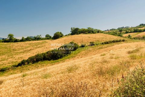 Villa a Guardistallo, Pisa, Guardistallo - € 2.300.000 | Ref: ito2854 - foto 3