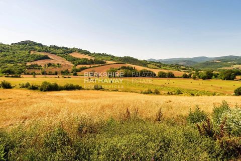 Villa a Guardistallo, Pisa, Guardistallo - € 2.300.000 | Ref: ito2854 - foto 7