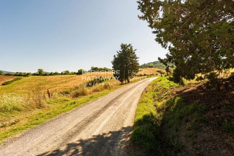 Villa a Guardistallo, Pisa, Guardistallo - € 2.300.000 | Ref: ito2854 - foto 18