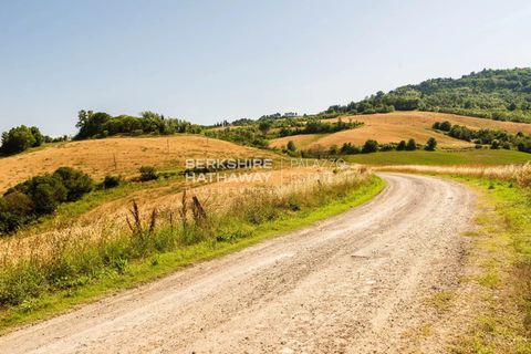 Villa a Guardistallo, Pisa, Guardistallo - € 2.300.000 | Ref: ito2854 - foto 21