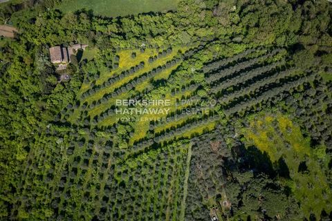 Villa i Florence, Florence, Florence - € 2.750.000 | Ref: ito2910 - foto 6
