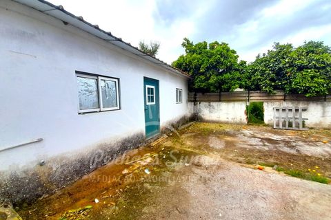 Villa i Ermidas do Sado, Setubal, Ermidas do Sado - € 450.000 | Ref: PHS630/24 - foto 12