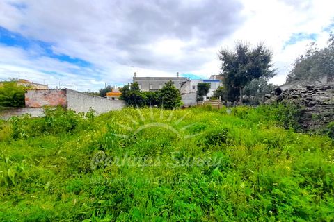 Villa i Ermidas do Sado, Setubal, Ermidas do Sado - € 450.000 | Ref: PHS630/24 - foto 19