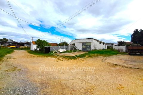 Villa i Ermidas do Sado, Setubal, Ermidas do Sado - € 450.000 | Ref: PHS630/24 - foto 20