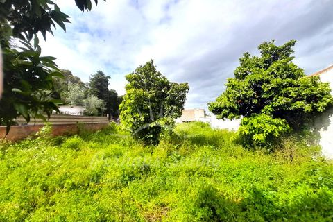 Villa i Ermidas do Sado, Setubal, Ermidas do Sado - € 450.000 | Ref: PHS630/24 - foto 21