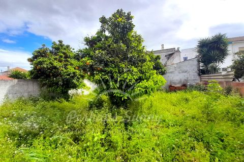 Villa i Ermidas do Sado, Setubal, Ermidas do Sado - € 450.000 | Ref: PHS630/24 - foto 26