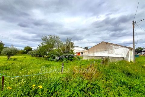 Villa i Ermidas do Sado, Setubal, Ermidas do Sado - € 450.000 | Ref: PHS630/24 - foto 27