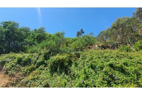 Tomt i Terroso, Porto, Terroso - € 105 000 | Ref: TC00020/2024 - foto 8