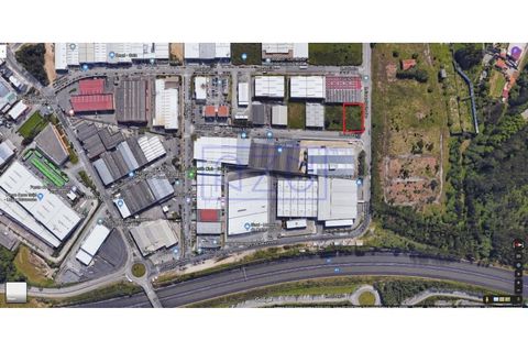 Tomt i Grijo, Porto, Grijo - € 272 000 | Ref: 3595 - foto 2