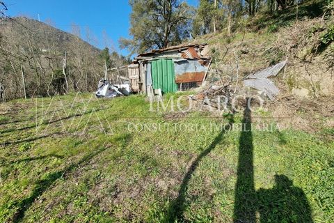 Herregård i Alvite e Passos, Braga, Alvite e Passos - € 64 000 | Ref: ARCO(191) - foto 9