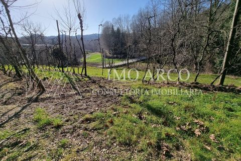 Herregård i Alvite e Passos, Braga, Alvite e Passos - € 64 000 | Ref: ARCO(191) - foto 10