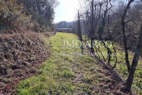 Herregård i Alvite e Passos, Braga, Alvite e Passos - € 64 000 | Ref: ARCO(191) - foto 11