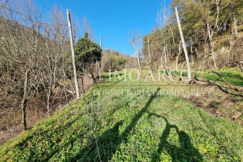 Herregård i Alvite e Passos, Braga, Alvite e Passos - € 64 000 | Ref: ARCO(191) - foto 13