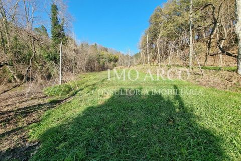 Herregård i Alvite e Passos, Braga, Alvite e Passos - € 64 000 | Ref: ARCO(191) - foto 14