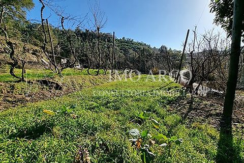 Herregård i Alvite e Passos, Braga, Alvite e Passos - € 64 000 | Ref: ARCO(191) - foto 15
