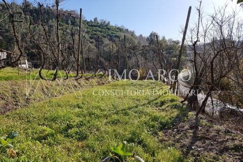 Herregård i Alvite e Passos, Braga, Alvite e Passos - € 64 000 | Ref: ARCO(191) - foto 17