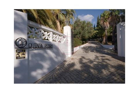 Villa i Almancil, Faro, Almancil - € 2.550.000 | Ref: V2796 - foto 2