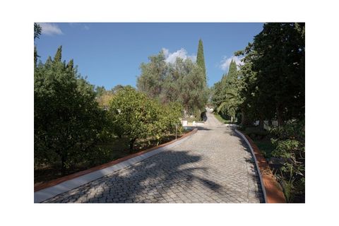 Villa i Almancil, Faro, Almancil - € 2.550.000 | Ref: V2796 - foto 3