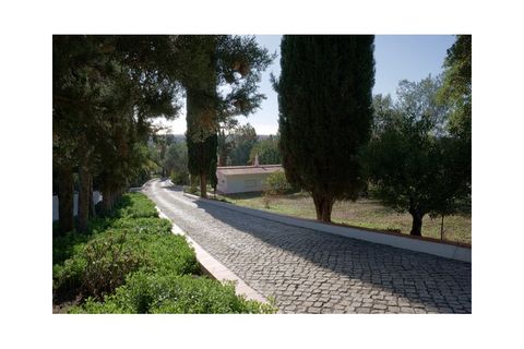 Villa i Almancil, Faro, Almancil - € 2.550.000 | Ref: V2796 - foto 5