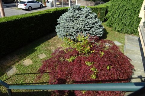Rækkehus i Alba, Cuneo, Alba - € 435.000 | Ref: 003CA - foto 21