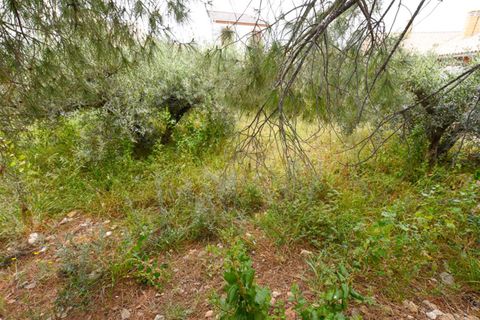 Terra a Guazamara, Almeria, Guazamara - € 120.000 | Ref: GUPD4CR - foto 4