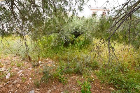 Terra a Guazamara, Almeria, Guazamara - € 120.000 | Ref: GUPD4CR - foto 5