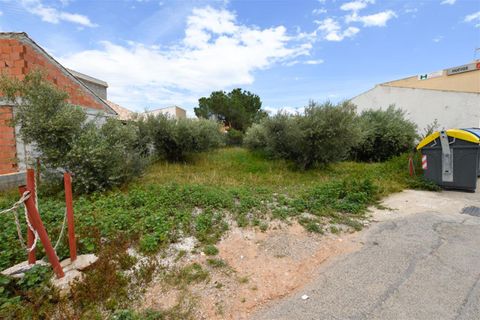 Terra a Guazamara, Almeria, Guazamara - € 120.000 | Ref: GUPD4CR - foto 6