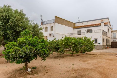 Rækkehus i Los Gallardos, Almeria, Los Gallardos - € 250.000 | Ref: LGPD56M - foto 2