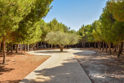 Villa i Almendricos, Murcia, Almendricos - € 1.300.000 | Ref: ALMPD2SA - foto 3