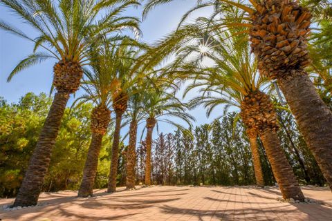 Villa i Almendricos, Murcia, Almendricos - € 1.300.000 | Ref: ALMPD2SA - foto 25
