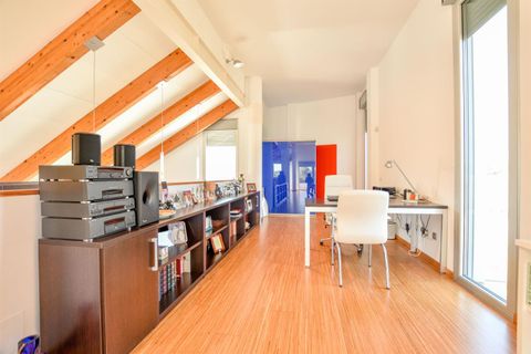 Villa i Almendricos, Murcia, Almendricos - € 1.300.000 | Ref: ALMPD2SA - foto 43