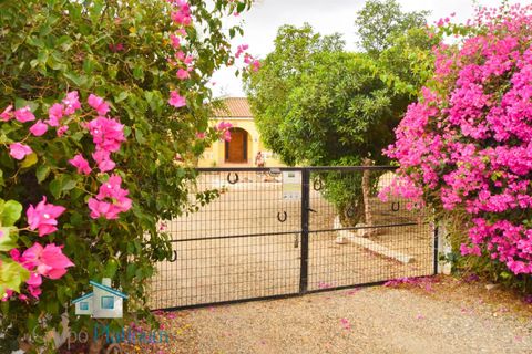Villa a Turre, Almeria, Turre - € 999.950 | Ref: TUPDVM - foto 6
