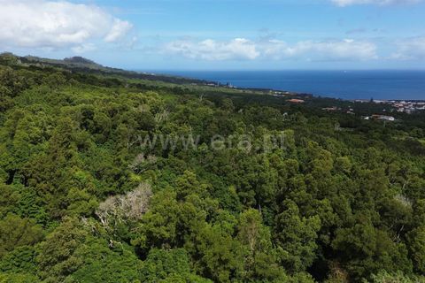 Helårsgrund i Sao Roque do Pico, Pico, Sao Roque do Pico - € 80.000 | Ref: 374240119 - foto 2