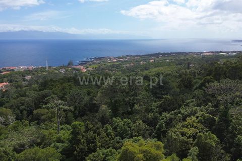 Helårsgrund i Sao Roque do Pico, Pico, Sao Roque do Pico - € 80.000 | Ref: 374240119 - foto 3