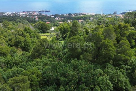 Helårsgrund i Sao Roque do Pico, Pico, Sao Roque do Pico - € 80.000 | Ref: 374240119 - foto 4