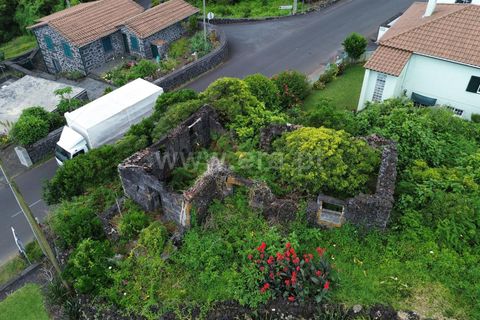 Helårsgrund i Lajes do Pico, Pico, Lajes do Pico - € 30.000 | Ref: 374240092 - foto 4