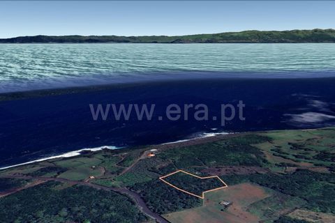 Helårsgrund i Sao Roque do Pico, Pico, Sao Roque do Pico - € 120.000 | Ref: 374240083 - foto 14