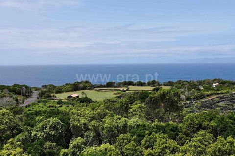 Helårsgrund i Sao Roque do Pico, Pico, Sao Roque do Pico - € 120.000 | Ref: 374240083 - foto 13