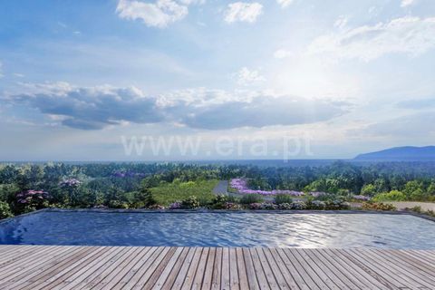 Helårsgrund i Sao Roque do Pico, Pico, Sao Roque do Pico - € 120.000 | Ref: 374240083 - foto 6
