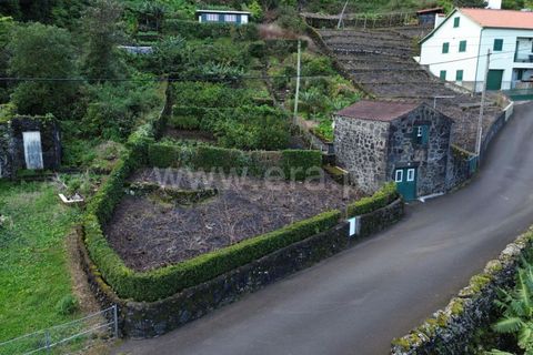 Helårsgrund i Sao Roque do Pico, Pico, Sao Roque do Pico - € 45.000 | Ref: 374240058 - foto 3