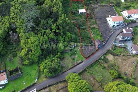 Helårsgrund i Sao Roque do Pico, Pico, Sao Roque do Pico - € 45.000 | Ref: 374240058 - foto 4